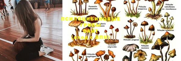 каннабис Алексеевка