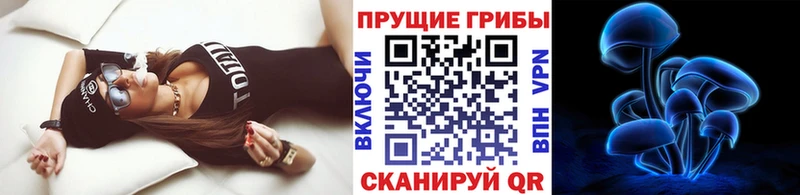 мега ссылка  нарко площадка телеграм  Бодайбо  Галлюциногенные грибы Magic Shrooms  где купить наркоту 